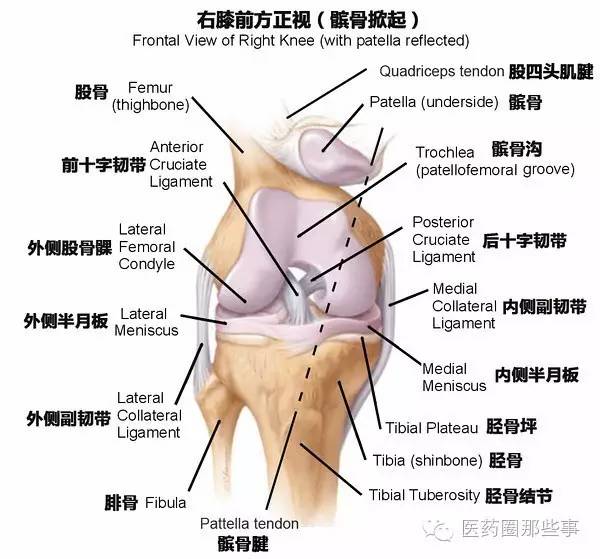 下载