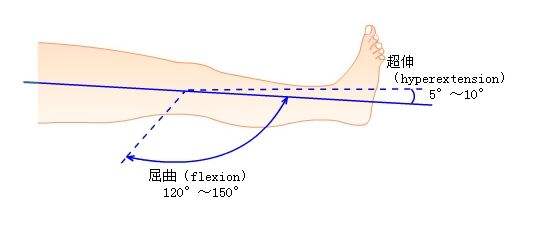 没有目标的康复，都是不(shua)科(liu)学(mang) 