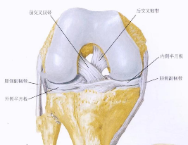 前交叉韧带重建术后重返运动一定不能忽略的问题 - 时间