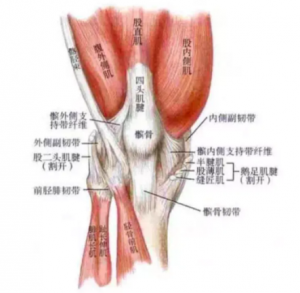 前交叉韧带合并内侧副韧带术后下肢力线怎么康复？-前叉之家