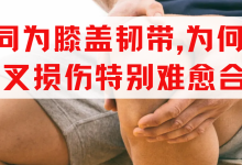 同为膝盖韧带，为何前交叉韧带损伤特别难愈合？六大原因揭秘！-前叉之家