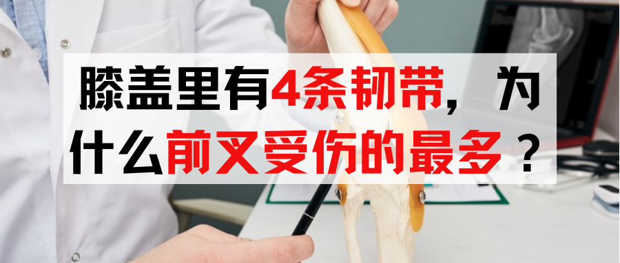 膝盖里有4条韧带,为什么前叉受伤的最多?-前叉之家