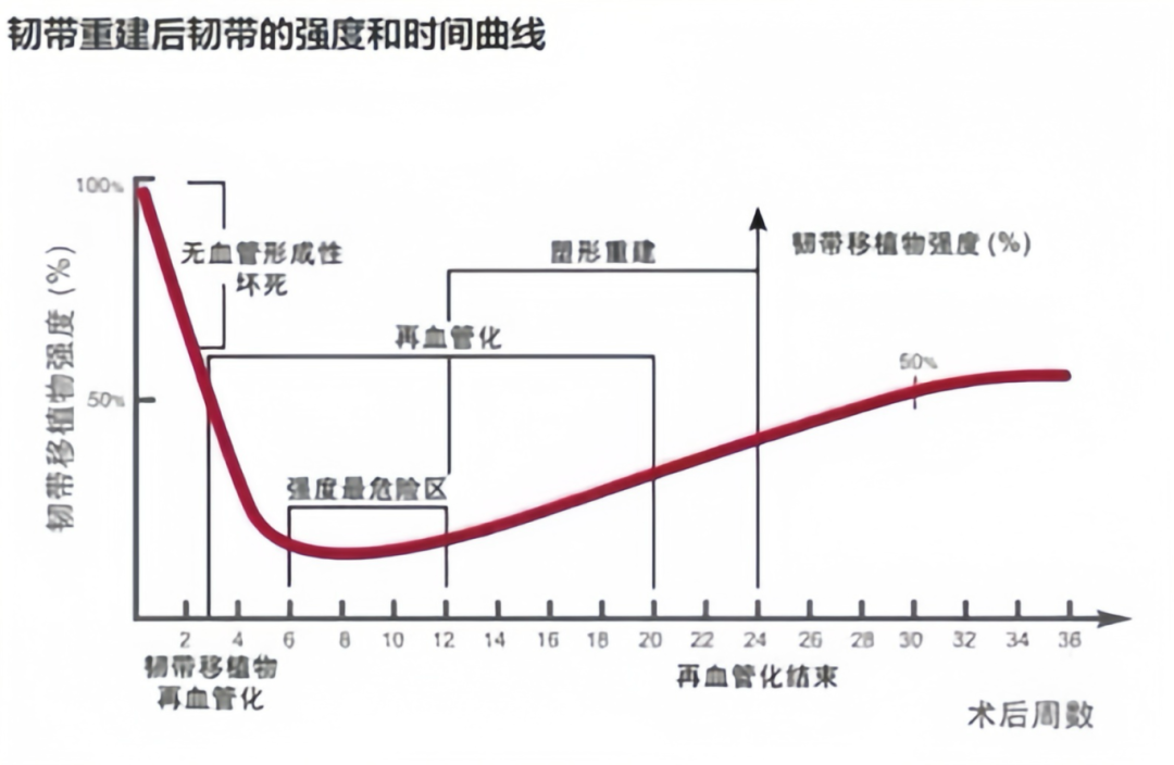 重建的前交叉韧带，竟然因为这个原因消失了！-前叉之家